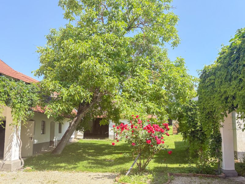Idyllischer Dreiseithof im Weinviertel - Viel Platz zum Wohlfhlen und Entspannen /  / 2042 Guntersdorf / Bild 2