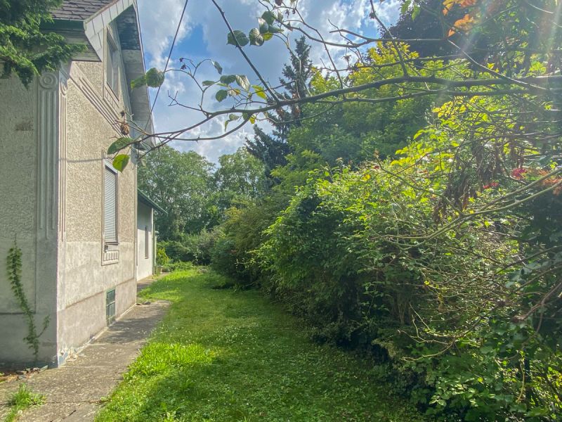 Stammersdorf: Baugrundstck /  / 1210 Wien / Bild 5