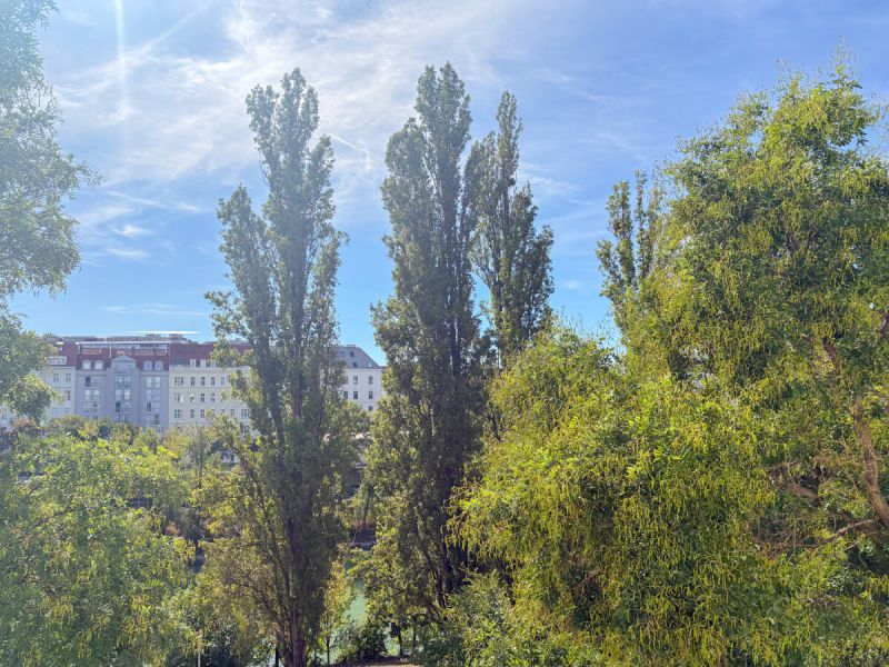 Helle 2-Zimmer-Altbauwohung Nähe Friedensbrücke / / 1200 Wien / Bild 1