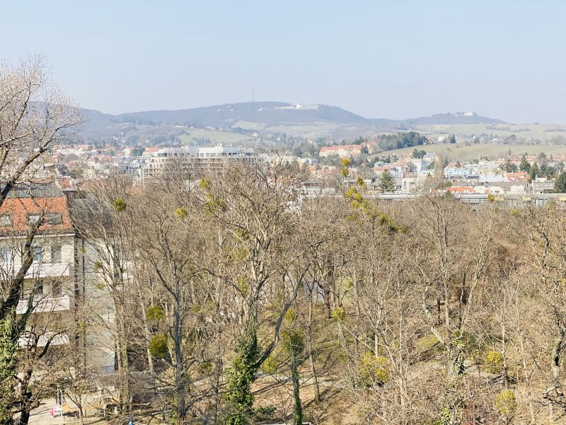 EXKLUSIVES WOHNEN IN OBER D�BLING - 3-Zimmer Dachgeschoss mit Blick auf den Kahlenberg /  / 1190&nbsp;Wien / Bild 3
