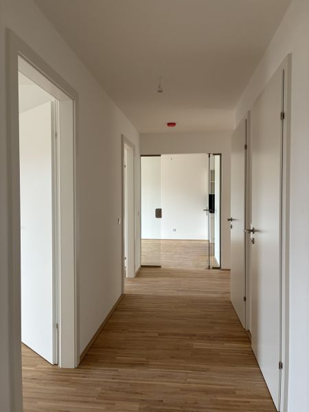 vi�no - ERSTBEZUG: 4-Zimmer-Wohnung mit WOHLF�HL-LOGGIA ab 11/2026 >3 Monate mietfrei bis Ende 2026 /  / 2331&nbsp;V�sendorf / Bild 5