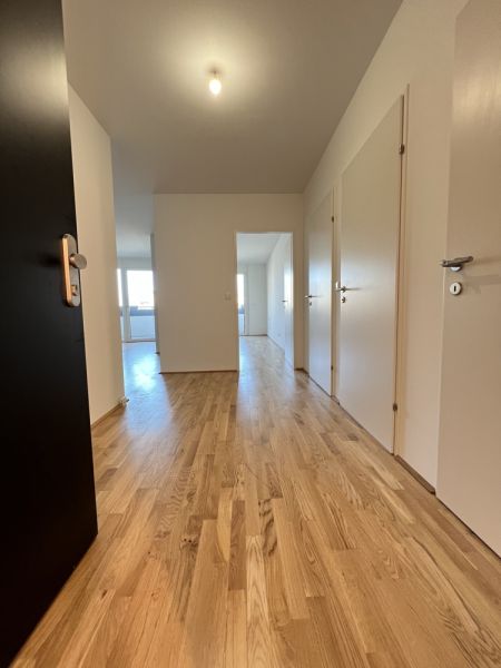 Neubau Erstbezug - 2 Zimmer mit Freiflche, provisionsfrei u. gratis Jahreskarte der Wr. Linien /  / 1100 Wien / Bild 4