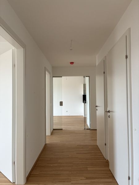 vi�no - 4-Zimmer zum Wohlf�hlen mit LOGGIA Richtung Biotop ab 11/2026, provisionsfrei vom Bautr�ger /  / 2331&nbsp;V�sendorf / Bild 12