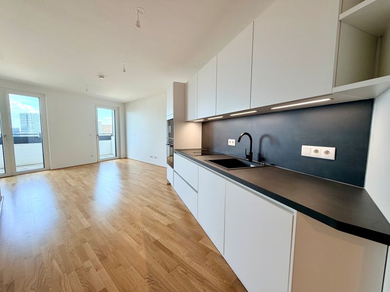 ERSTBEZUG am Hauptbahnhof: EXKLUSIVE DACHGESCHOSSWOHNUNG mit Dachgarten und wundersch�nem Wienblick!