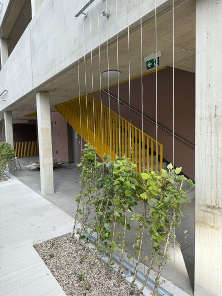 ERSTBEZUG 3-Zimmer-Wohnung mit Balkon, Top 11 /  / 2700 Wiener Neustadt / Bild 3