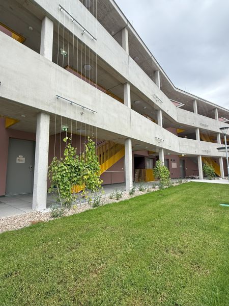 ERSTBEZUG 3-Zimmer-Wohnung mit Balkon, Top 9 /  / 2700 Wiener Neustadt / Bild 5