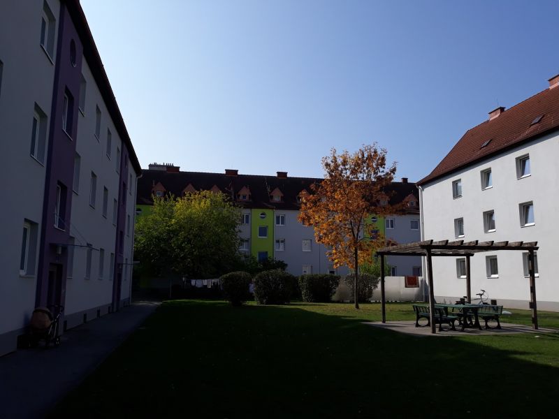 3-Zimmer-Wohnung, Top 206 /  / 2700 Wiener Neustadt / Bild 8