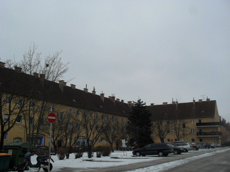 3-Zimmer-Wohnung, Top 99 /  / 2700 Wiener Neustadt / Bild 3
