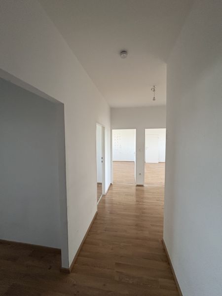 3-Zimmer-Wohnung mit Loggia, Top 17 /  / 2700&nbsp;Wiener Neustadt / Bild 8