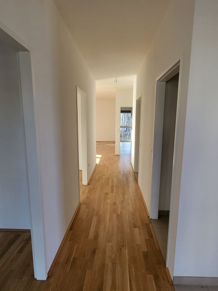 ERSTBEZUG! 4-Zimmer-Wohnung mit Balkon, Top 13 /  / 2700 Wiener Neustadt / Bild 7