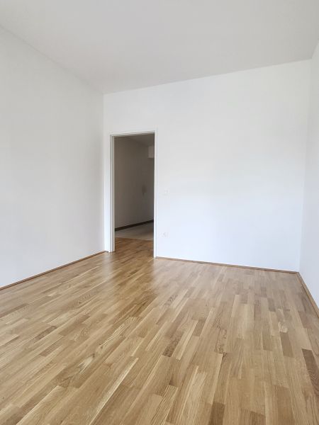 ERSTBEZUG! 3-Zimmer-Wohnung mit Balkon, Top 17 /  / 2700 Wiener Neustadt / Bild 7