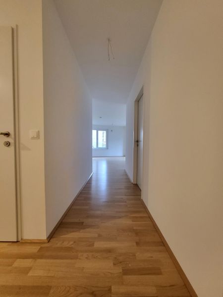 ERSTBEZUG! 3-Zimmer-Wohnung mit Terrasse und Garten, Top 1 /  / 2700&nbsp;Wiener Neustadt / Bild 5