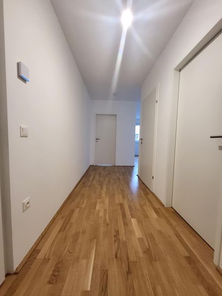 ERSTBEZUG! 2-Zimmer-Wohnung mit Balkon, Top 2, mit Kaufoption /  / 2700&nbsp;Wiener Neustadt / Bild 1