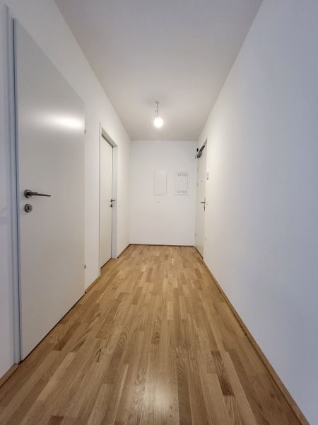 ERSTBEZUG! 2-Zimmer-Wohnung mit Balkon, Top 2, mit Kaufoption /  / 2700&nbsp;Wiener Neustadt / Bild 2