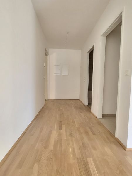 ERSTBEZUG! 2-Zimmer-Wohnung mit Balkon, Top 5 /  / 2700 Wiener Neustadt / Bild 7