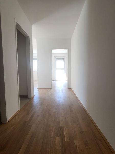ERSTBEZUG! 2-Zimmer-Wohnung mit Balkon, Top 5 /  / 2700 Wiener Neustadt / Bild 6