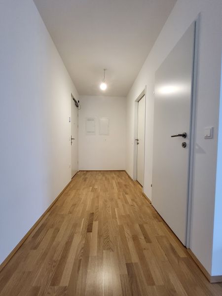ERSTBEZUG! 2-Zimmer-Wohnung mit Balkon, Top 5 / / 2700 Wiener Neustadt / Bild 7