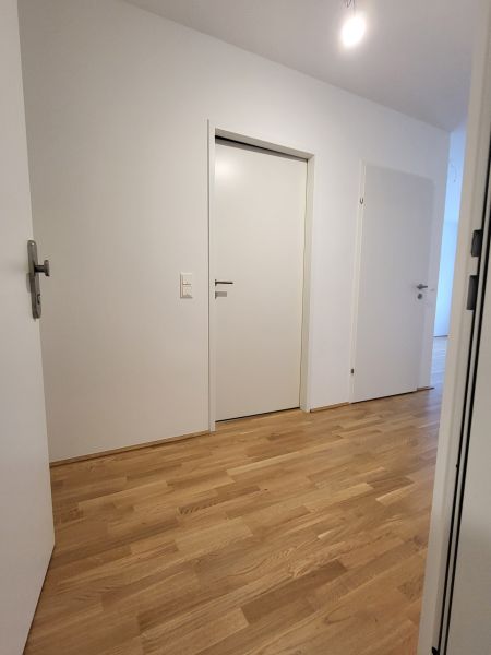 ERSTBEZUG! 2-Zimmer-Wohnung mit Balkon, Top 5 / / 2700 Wiener Neustadt / Bild 5