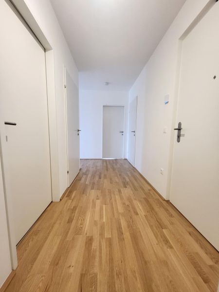 ERSTBEZUG! 3-Zimmer-Wohnung mit Balkon, Top 11 / / 2700 Wiener Neustadt / Bild 6