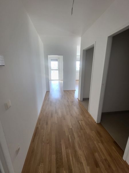 ERSTBEZUG! 2-Zimmer-Wohnung mit Balkon, Top 14 /  / 2700 Wiener Neustadt / Bild 6