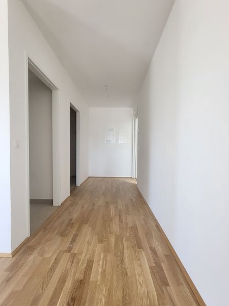 ERSTBEZUG! 2-Zimmer-Wohnung mit Balkon, Top 14 /  / 2700 Wiener Neustadt / Bild 7
