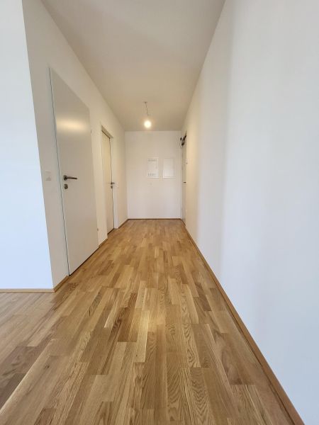 ERSTBEZUG! 2-Zimmer-Wohnung mit Balkon, Top 14 / / 2700 Wiener Neustadt / Bild 7