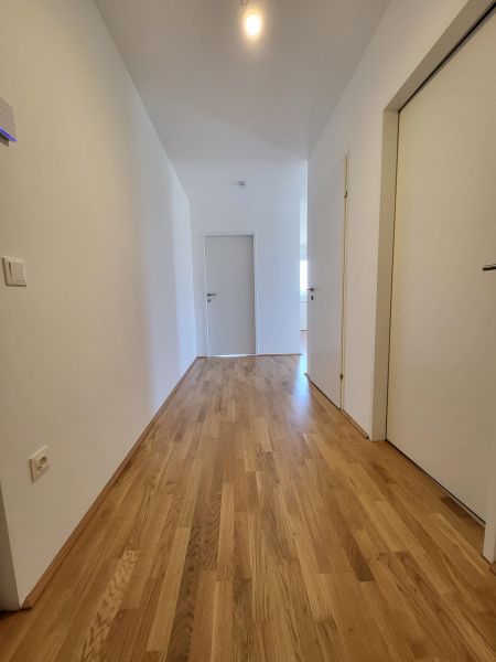 ERSTBEZUG! 2-Zimmer-Wohnung mit Balkon, Top 14 / / 2700 Wiener Neustadt / Bild 6