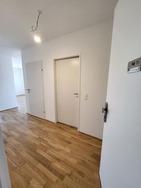 ERSTBEZUG! 2-Zimmer-Wohnung mit Balkon, Top 14 / / 2700 Wiener Neustadt / Bild 5