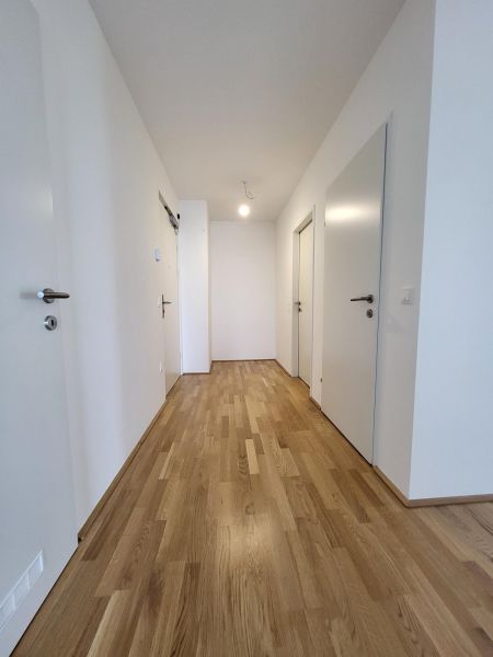 ERSTBEZUG! 3-Zimmer-Wohnung mit Balkon, Top 19 /  / 2700&nbsp;Wiener Neustadt / Bild 7