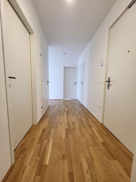 ERSTBEZUG! 3-Zimmer-Wohnung mit Balkon, Top 19 /  / 2700&nbsp;Wiener Neustadt / Bild 6