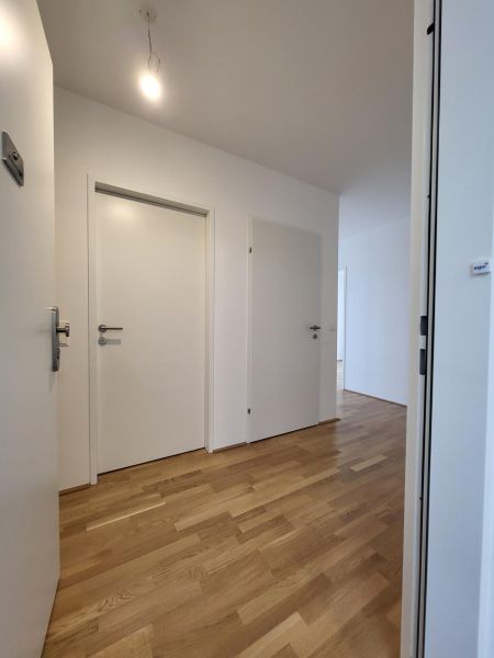 ERSTBEZUG! 3-Zimmer-Wohnung mit Balkon, Top 19 /  / 2700&nbsp;Wiener Neustadt / Bild 5