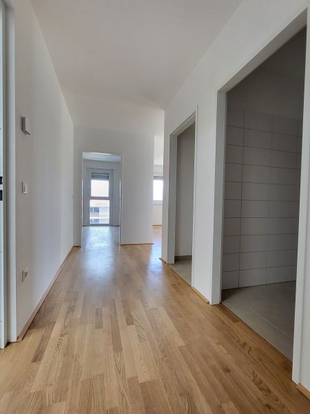 ERSTBEZUG! 2-Zimmer-Wohnung mit Balkon, Top 20 /  / 2700 Wiener Neustadt / Bild 3
