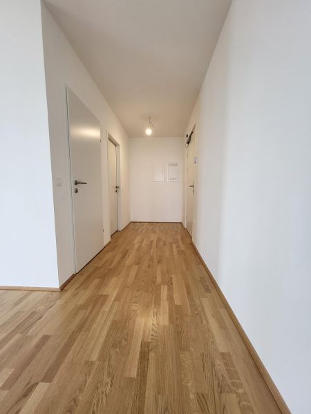 ERSTBEZUG! 2-Zimmer-Wohnung mit Balkon, Top 20 /  / 2700&nbsp;Wiener Neustadt / Bild 7