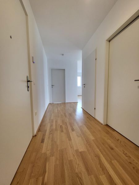 ERSTBEZUG! 2-Zimmer-Wohnung mit Balkon, Top 20 /  / 2700&nbsp;Wiener Neustadt / Bild 6