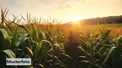 2 Landwirtschaftsfl�chen /  / 6365&nbsp;Kirchberg in Tirol / Bild 0