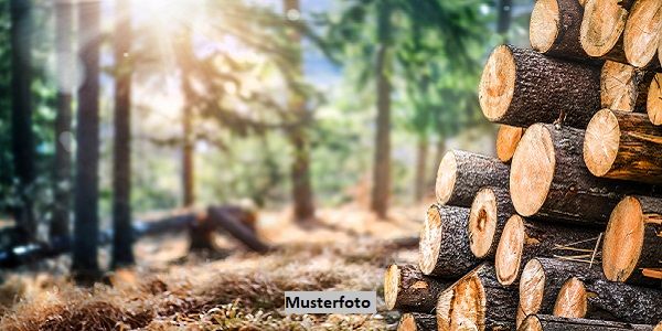 Forstwirtschaftsfl�chen + provisionsfrei +