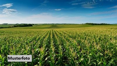 Landwirtschaftsflchen