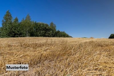 Landwirtschaftsflchen
