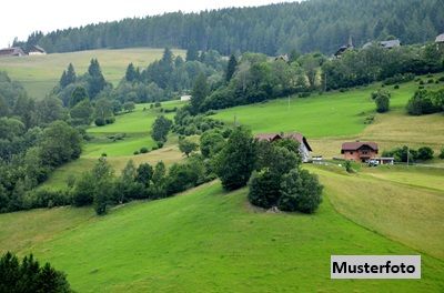 Land- und Forstwirtschaftl. Anwesen mit Hofstelle