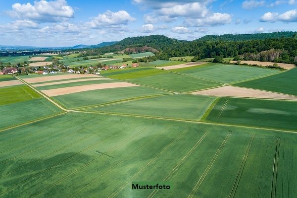 Landwirtschaftsfl�che + provisionsfrei + /  / 8344&nbsp;Bad Gleichenberg / Bild 0