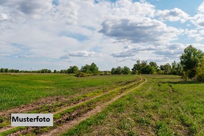 Landwirtschaftsfl�che + provisionsfrei + /  / 8344&nbsp;Bad Gleichenberg / Bild 0