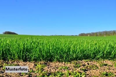 2 Landwirtschaftsflächen