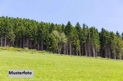 Land- und Forstwirtschaftsfl�chen /  / 4565&nbsp;Inzersdorf im Kremstal / Bild 0