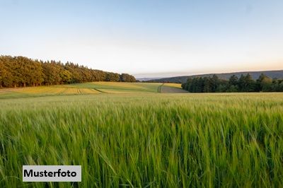 Land- und Forstwirtschaftsfl�chen