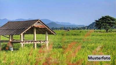 Landwirtschaftl. Anwesen mit diversen Gebäuden