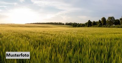 Landwirtschaftsflche