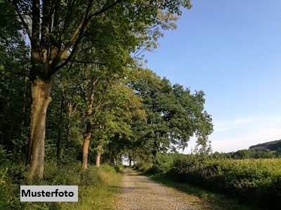 Mehrschnittiges Grnland mit geringem Flchenumfang - Land- und Forstwirtschaftsflche