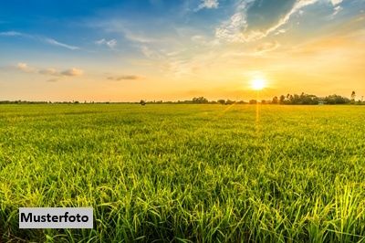 Landwirtschaftsflche