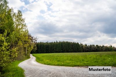 Mehrschnittiges Grnland mit geringem Flchenumfang - Land- und Forstwirtschaftsflche