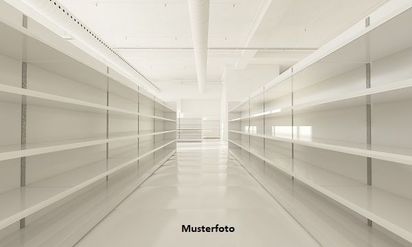 Mehrere Lagerr�ume (5) + 2 PKW-Stellpl�tze - effizient & praktisch /  / 6345&nbsp;K�ssen / Bild 0